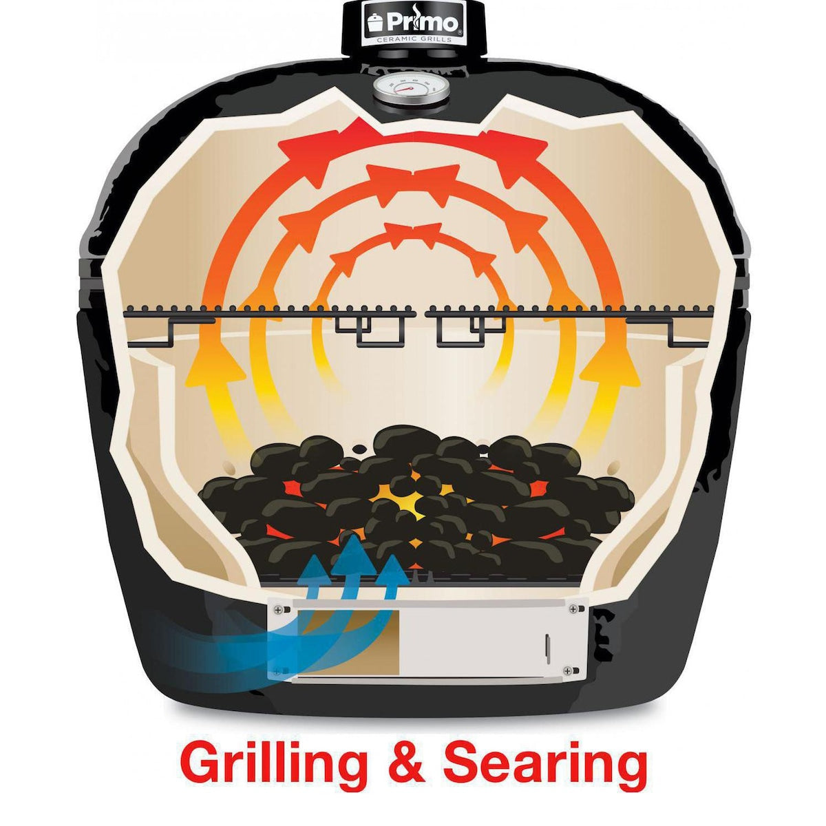 Primo Oval Large 300 Ceramic Charcoal Grill